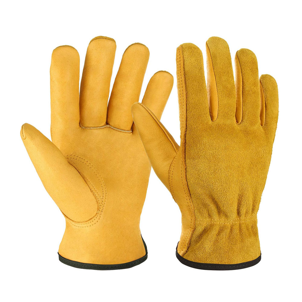 glove1.jpg